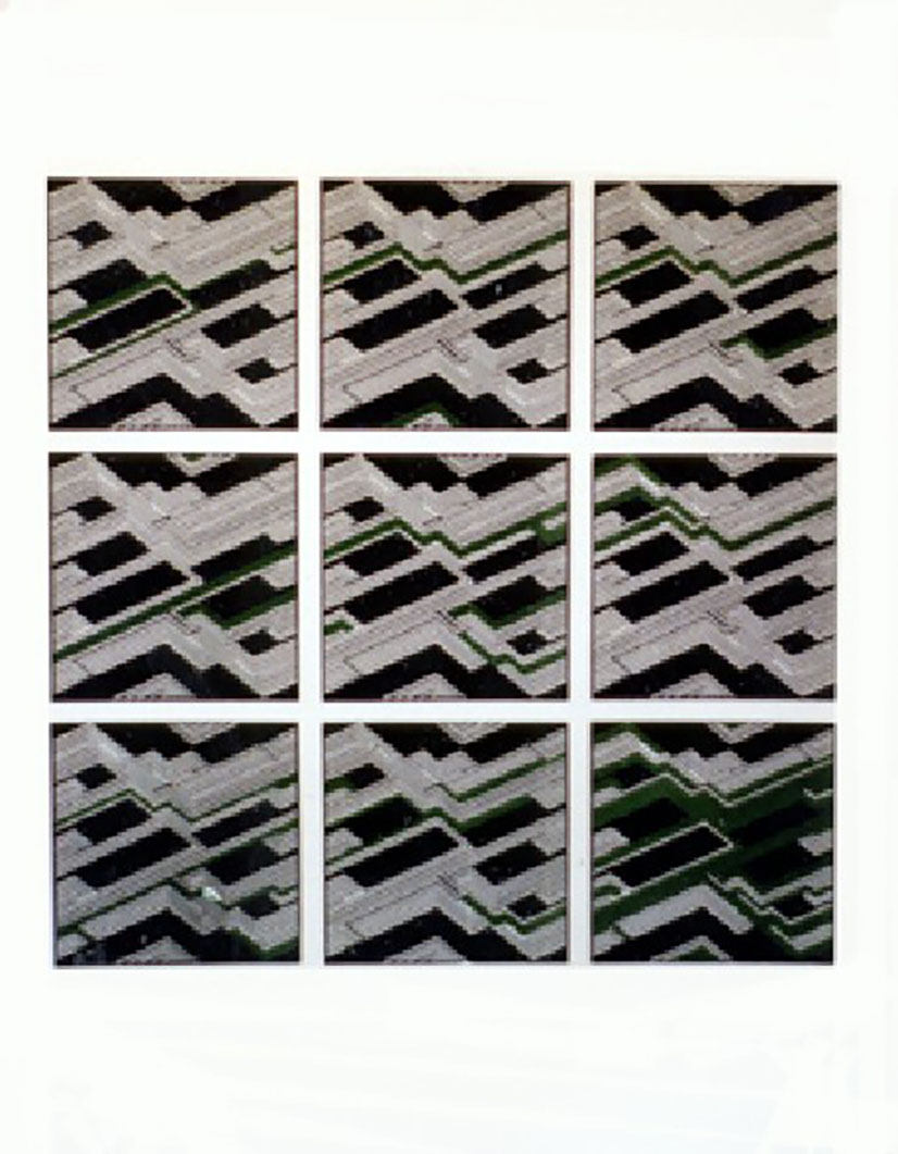Divisione del campo rigato, 1980